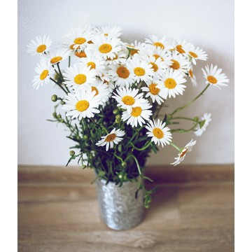 Bouquet de margaritas