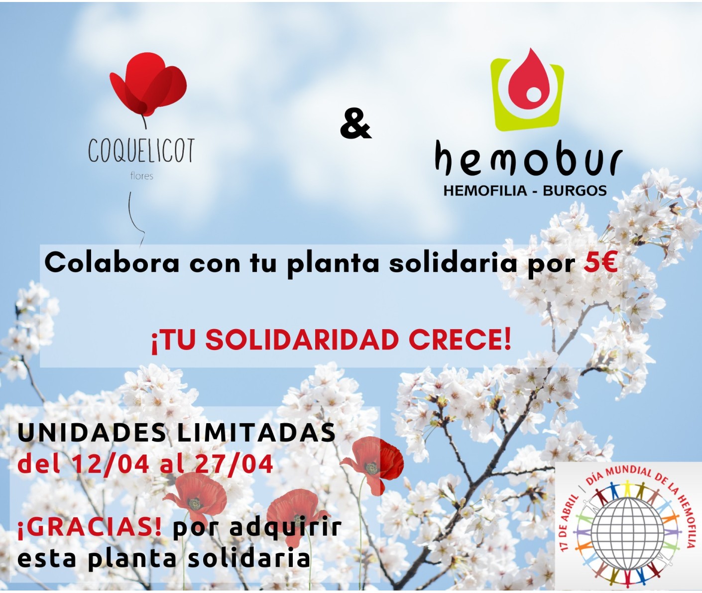 ¡TU SOLIDARIDAD CRECE!